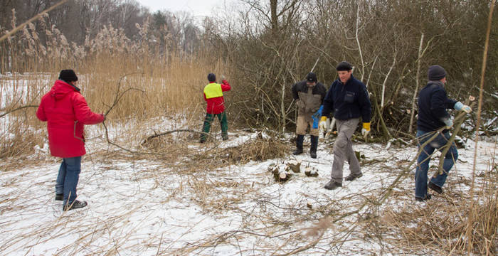 Gruppe bei Arbeiten am Lengwiler Weiher