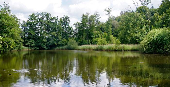 Lengwiler Weiher