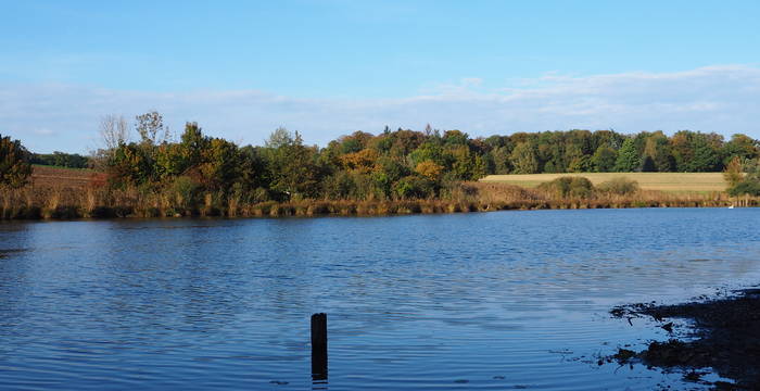 Ausblick auf den Bommer Weiher