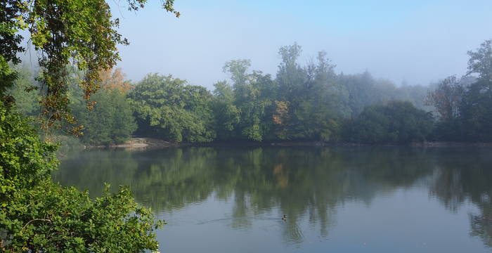 Grossweiher in Herbststimmung