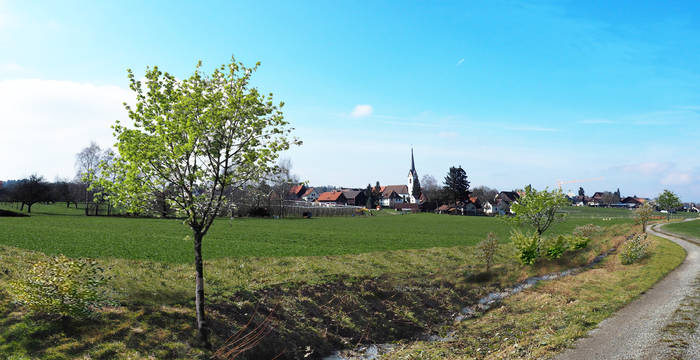 Fotomontage des Mülibachs Langrickenbach