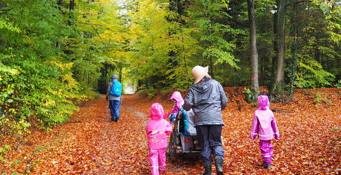 Im Herbstwald auf Spurensuche unterwegs