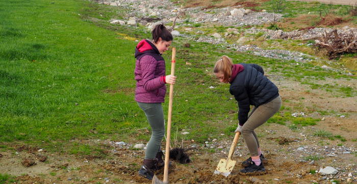 Helfer bei der Pflanzaktion