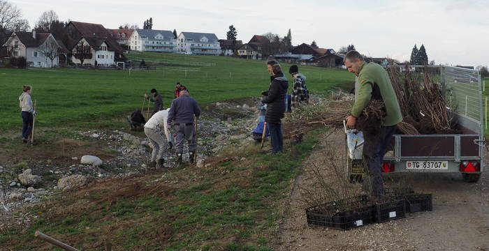 Helfer bei der Pflanzaktion