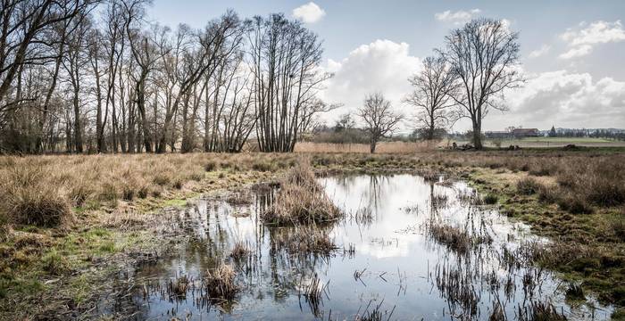 Das ehemalige Lehmabbaugebiet mit dem Flurnamen "Mos" zwischen Bürglen und Opfershofen. (Bild: Andrea Stalder)