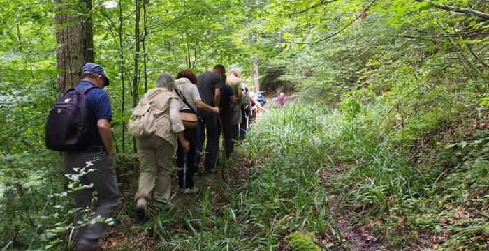 Pro Natura Thurgau Farnexkursion