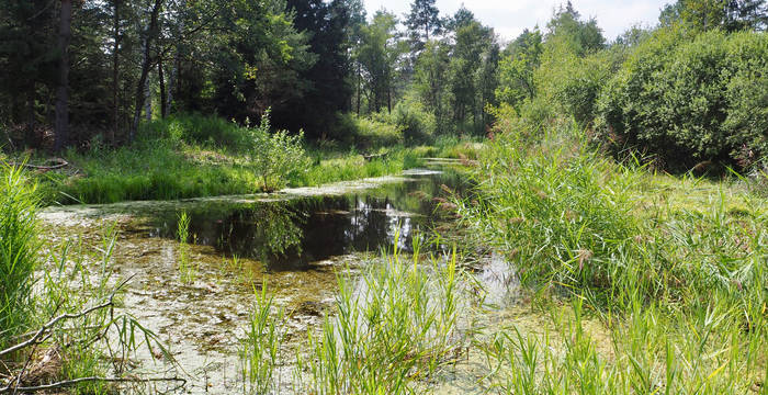 Pro Natura Thurgau Hudelmoos-Exkursion