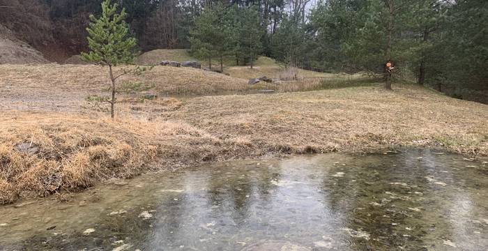 Tümpel im Schutzgebiet Ottenberg