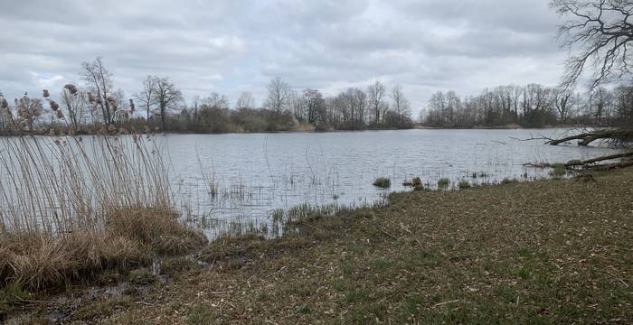 Lengwiler Weiher im Schutzgebiet Lengwiler Weiher