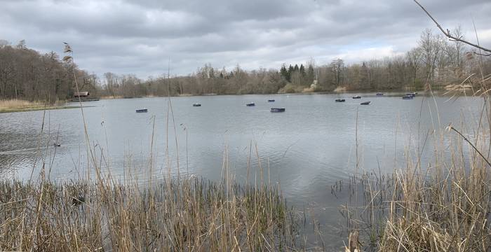 Lengwiler Weiher im Schutzgebiet Lengwiler Weiher