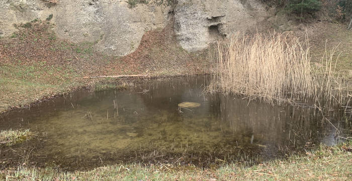 Tümpel am Ottenberg