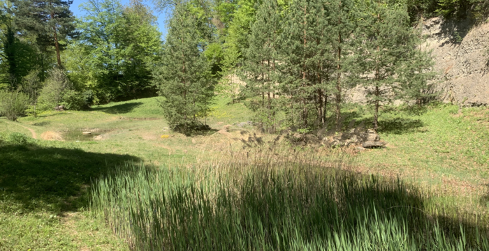 Tümpel im Schutzgebiet Ottenberg