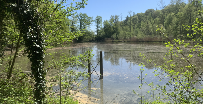 Lengwiler Weiher im Schutzgebiet Lengwiler Weiher