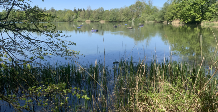 Lengwiler Weiher im Schutzgebiet Lengwiler Weiher