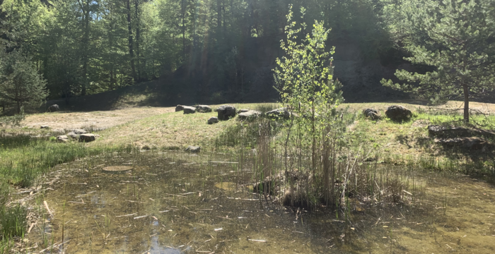 Tümpel im Schutzgebiet Ottenberg