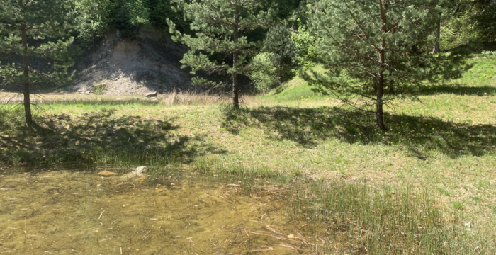 Tümpel im Schutzgebiet Ottenberg