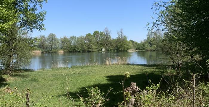 Lengwiler Weiher im Schutzgebiet Lengwiler Weiher