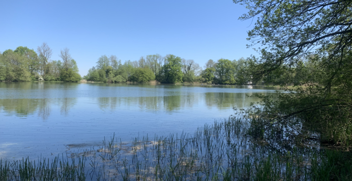 Lengwiler Weiher im Schutzgebiet Lengwiler Weiher