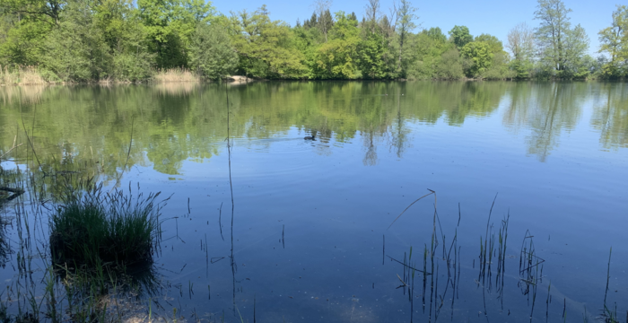 Lengwiler Weiher im Schutzgebiet Lengwiler Weiher