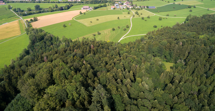 Naturschutzgebiet Burstel