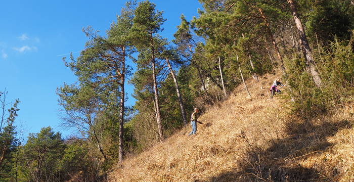 Einsatz Immenberg