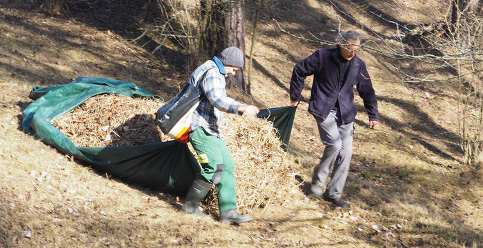 Pflegeeinsatz Immenberg