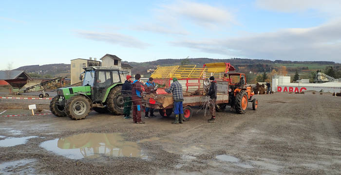 Zivildienstleistende geben Hochstammbäume an Landwirte ab