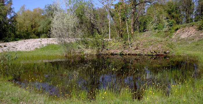 Tümpel 2