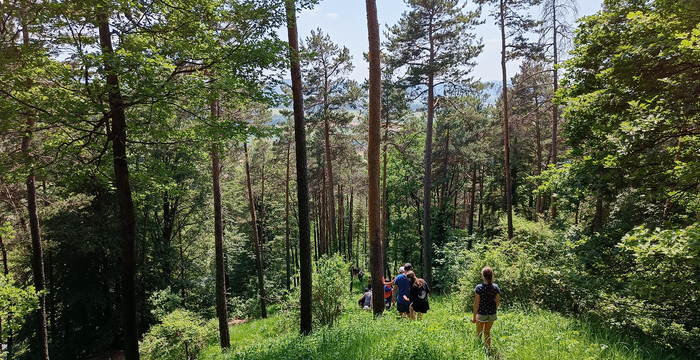 Naturschutzgebiete Pro Natura Thurgau