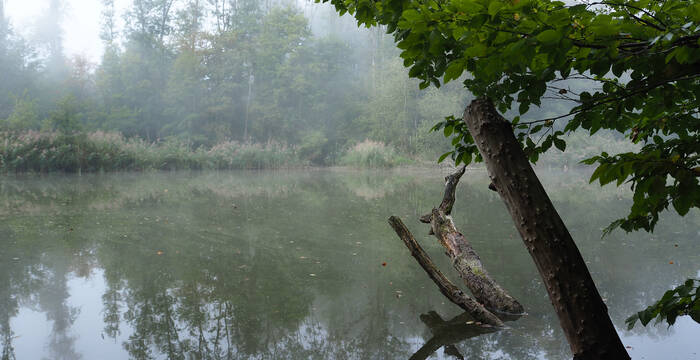 Lengwiler Weiher im Herbst