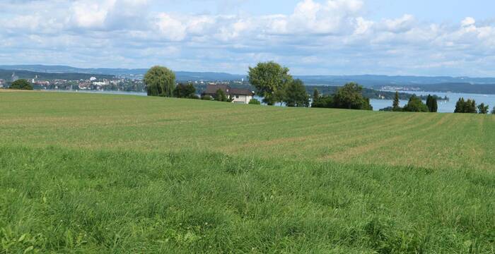 OLS Wanderung und Velofahrt