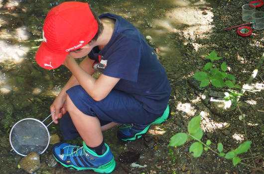 Ein Junge fängt mit einem Sieb Kleinlebewesen im Bach