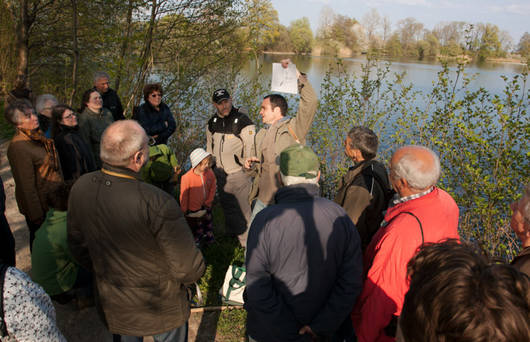 Geführte Exkursion durch ein Naturschutzgebiet von Pro Natura Thurgau © florinrutschmann