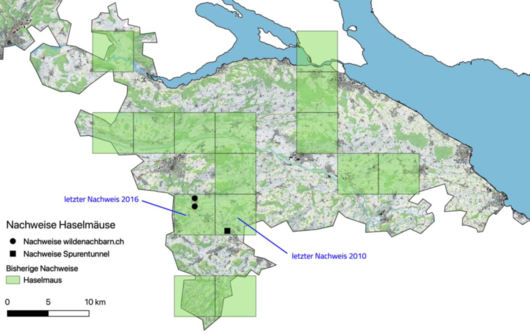 Verbreitung der Haselmaus im Thurgau