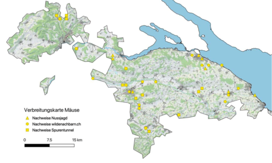 Nachweis der Mäuse im Thurgau