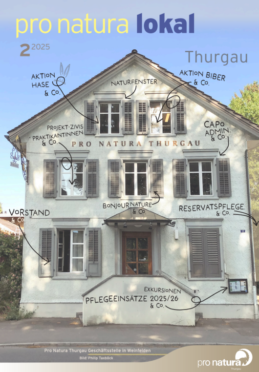 Titelbild aktuelle Ausgabe