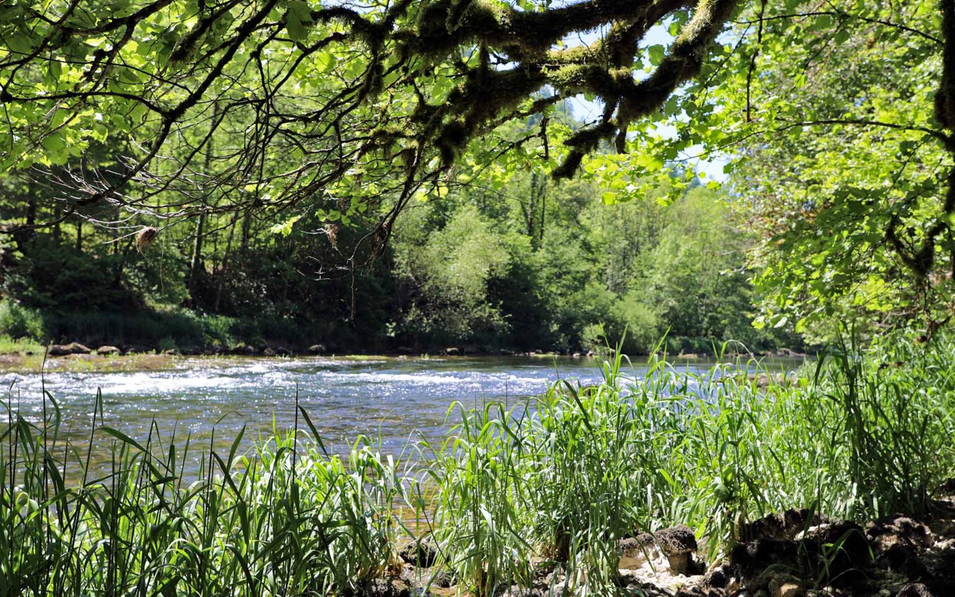 Fluss © Pro Natura