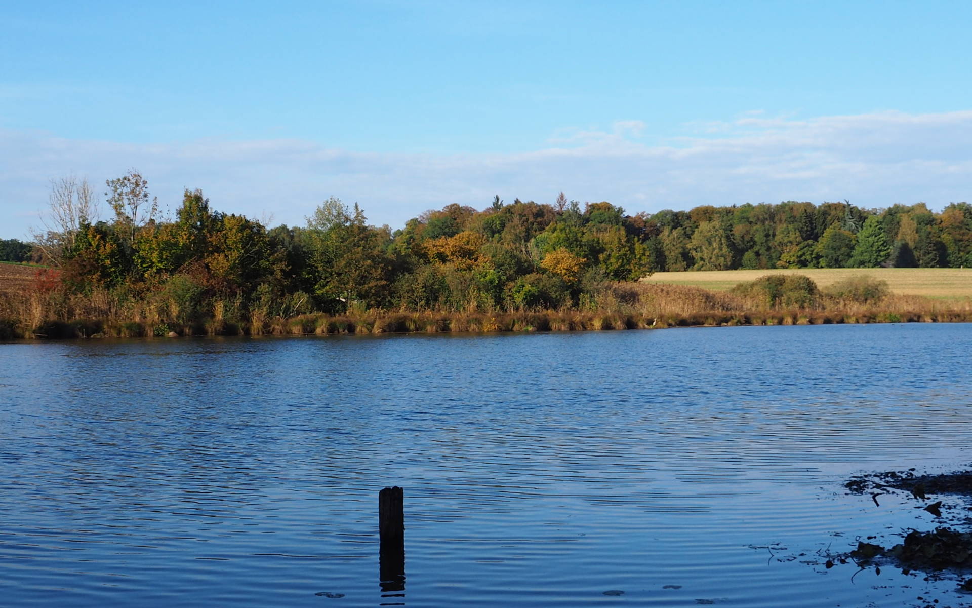 Ausblick auf den Bommer Weiher © kathrinwittgen