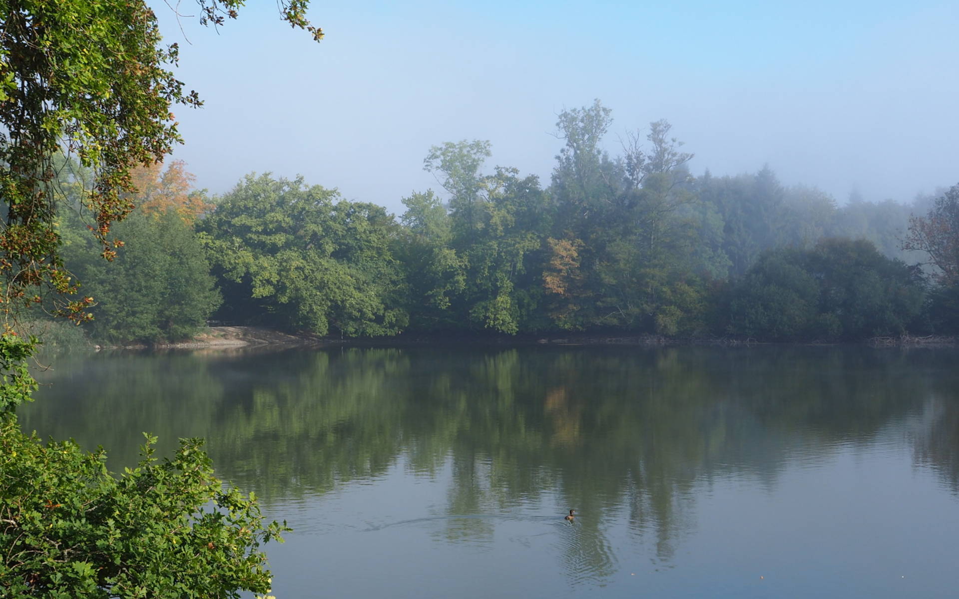 Grossweiher in Herbststimmung © kathrinwittgen