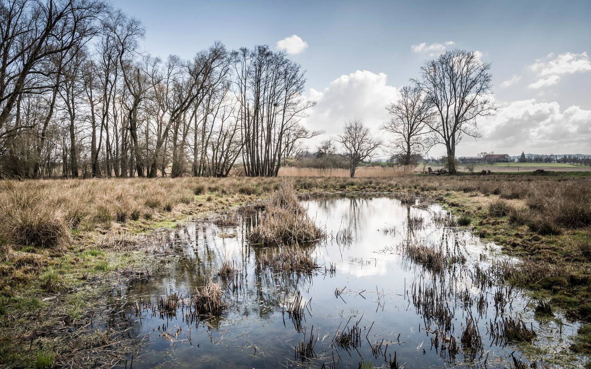 Das ehemalige Lehmabbaugebiet mit dem Flurnamen "Mos" zwischen Bürglen und Opfershofen. (Bild: Andrea Stalder)
