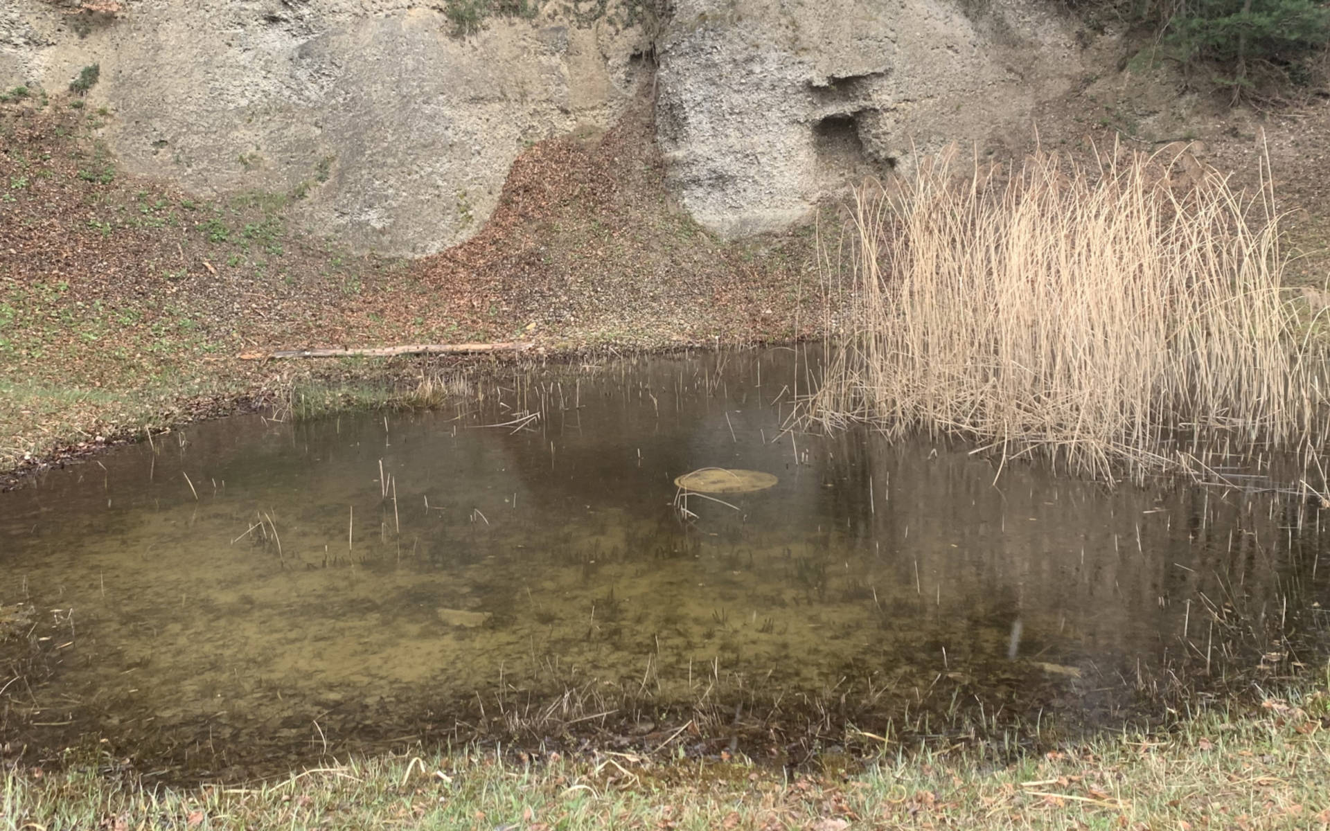 Neuigkeiten vom Ottenberg | Pro Natura Thurgau