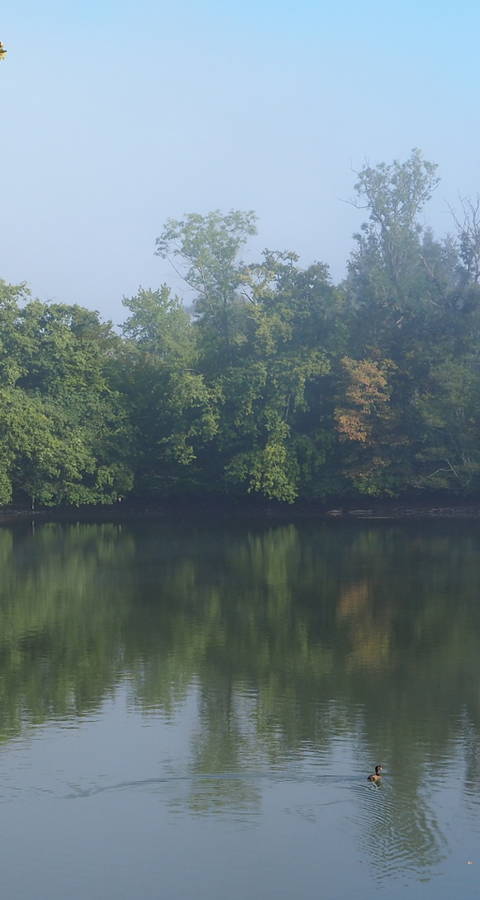 Grossweiher in Herbststimmung