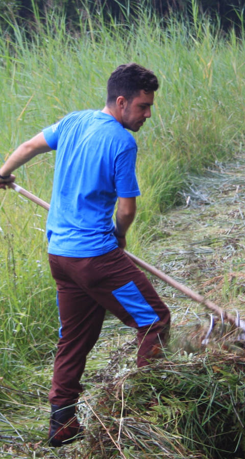 Zivildienstleistender im Naturschutzgebiet