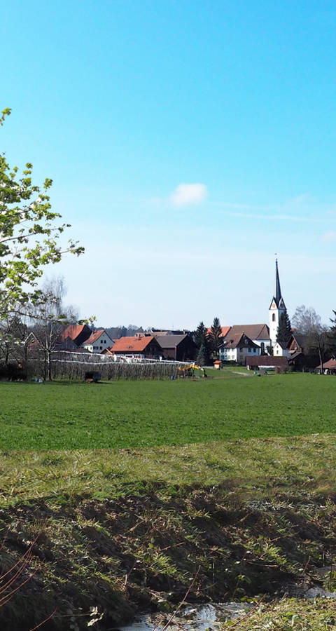 Fotomontage des Mülibachs Langrickenbach