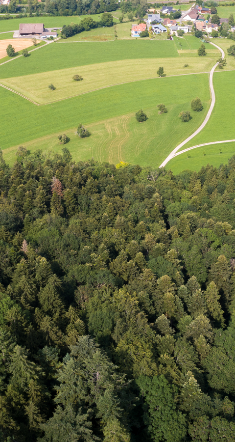 Naturschutzgebiet Burstel