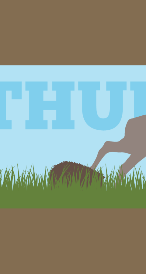 Logo Big5 Wilde Nachbarn Thurgau