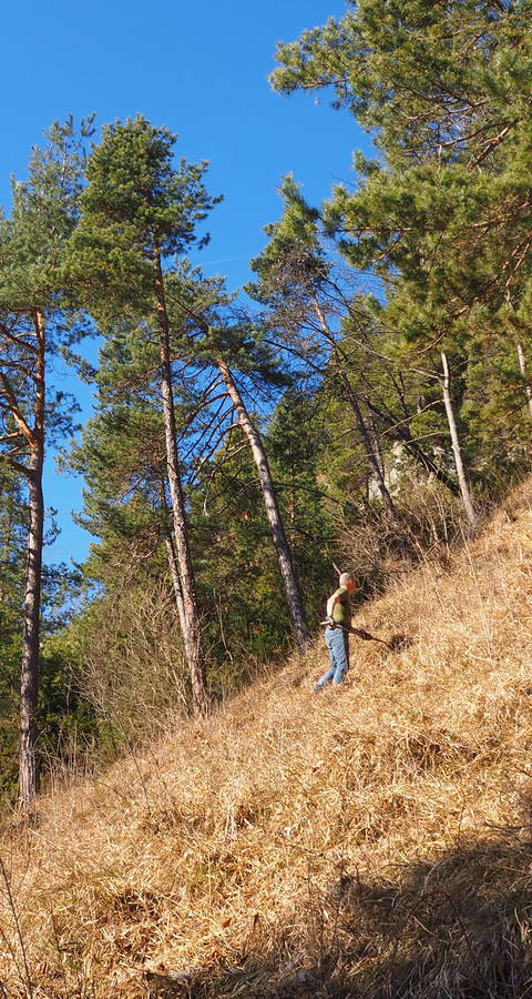 Einsatz Immenberg