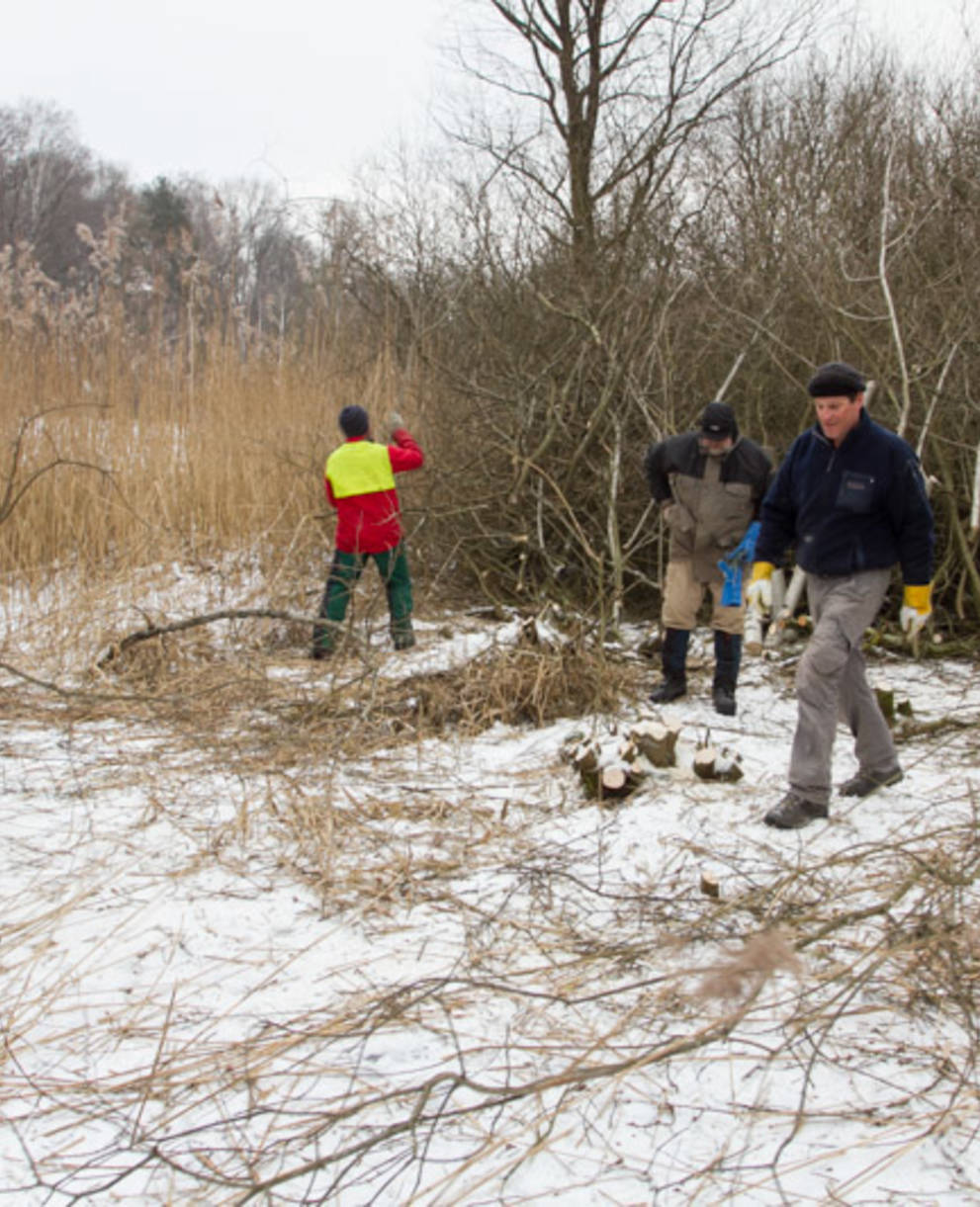 Gruppe bei Arbeiten am Lengwiler Weiher