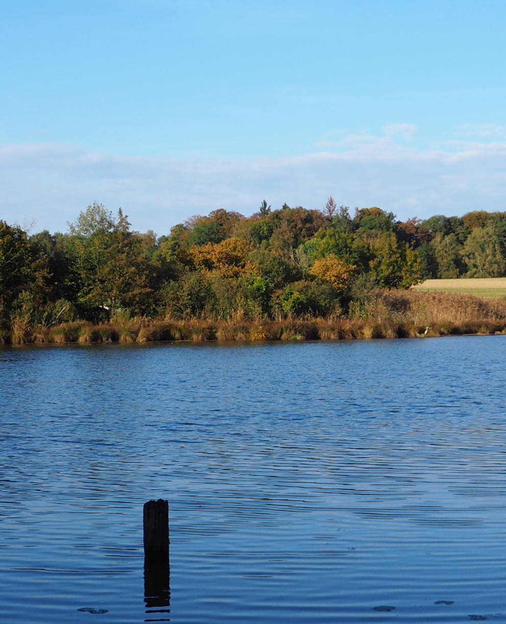 Ausblick auf den Bommer Weiher