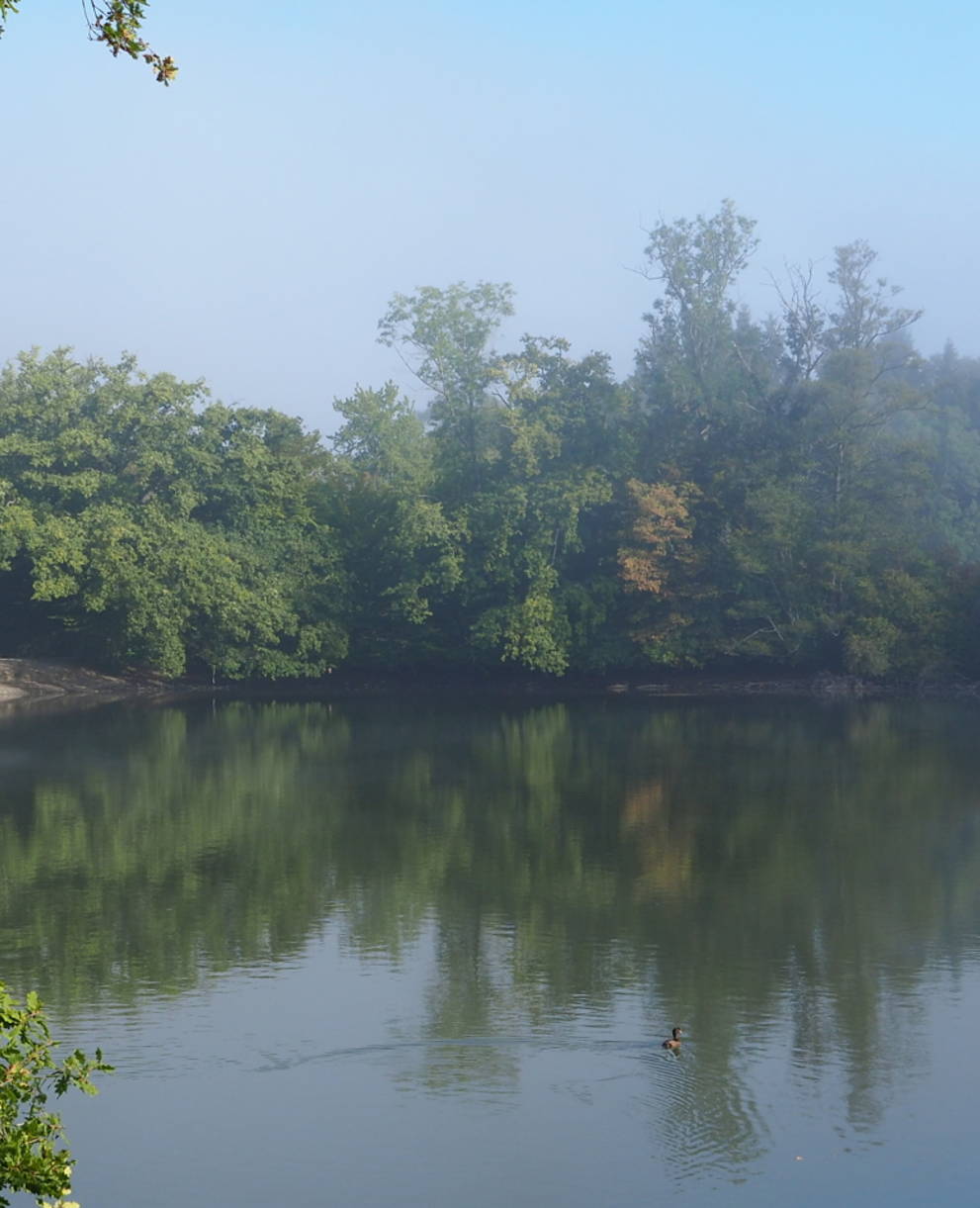 Grossweiher in Herbststimmung